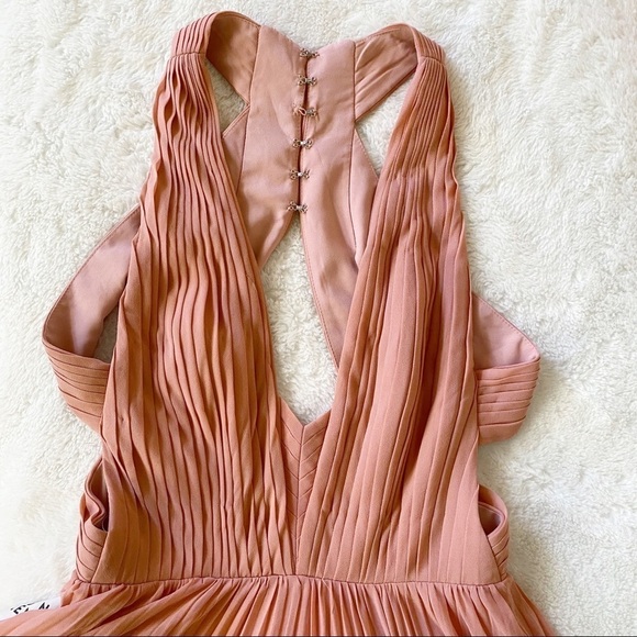 Fame and Partners V neck Open Back Pleated Gown in Mauve Pink - Picture 6 of 14